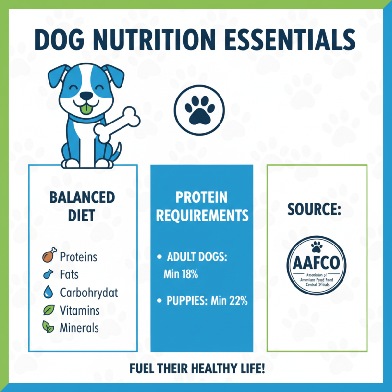 Top Tips for Choosing the Best Soft Dog Food for Your Pet?