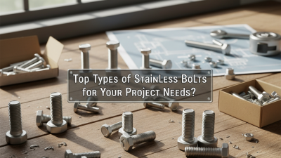 Top Types of Stainless Bolts for Your Project Needs?
