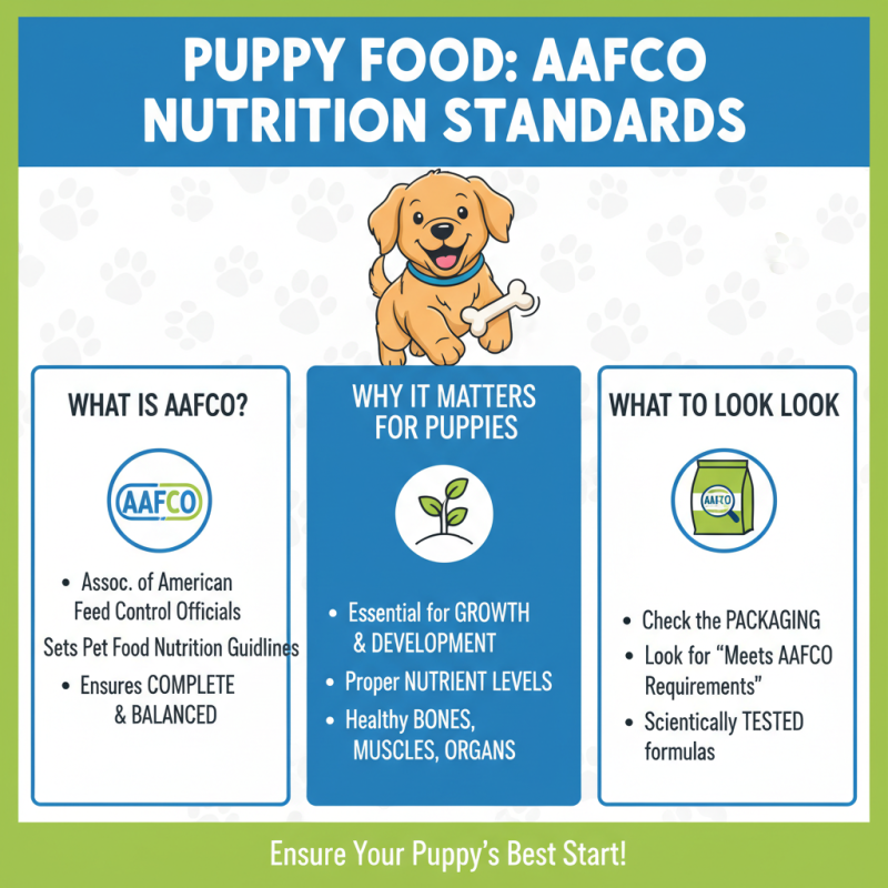 How to Choose the Best Puppy Dog Food for Your New Best Friend?