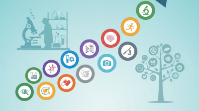 Top 10 Animal Study Methods for Effective Research?