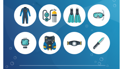 Top 10 Dive Shop Essentials You Need for Your Underwater Adventure?