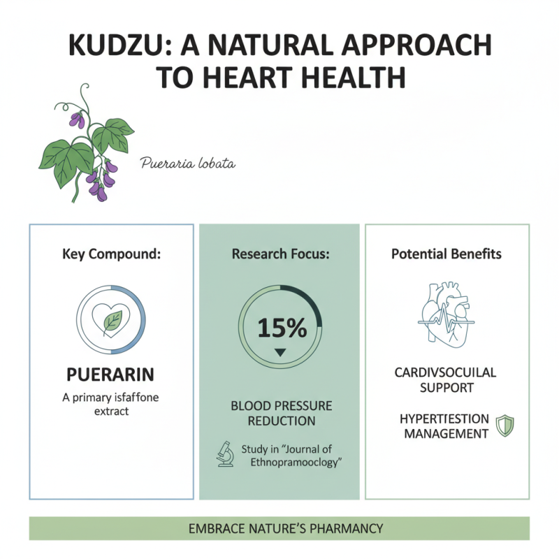 How to Use Pueraria Lobata Extract Puerarin for Health Benefits?