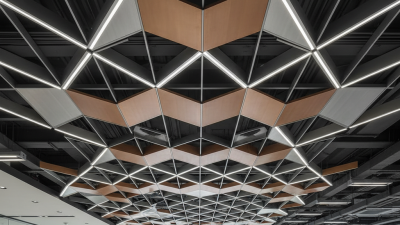 What is Industrial Aluminium Ceiling Extrusions and How Are They Used?