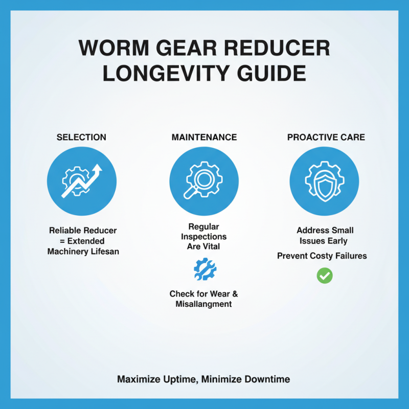 How to Choose the Right Worm Gear Reducer for Your Application?
