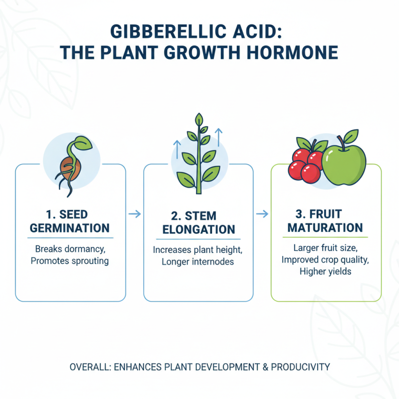 Gibberellic Acid Uses in Plants Essential Tips for Effective Growth
