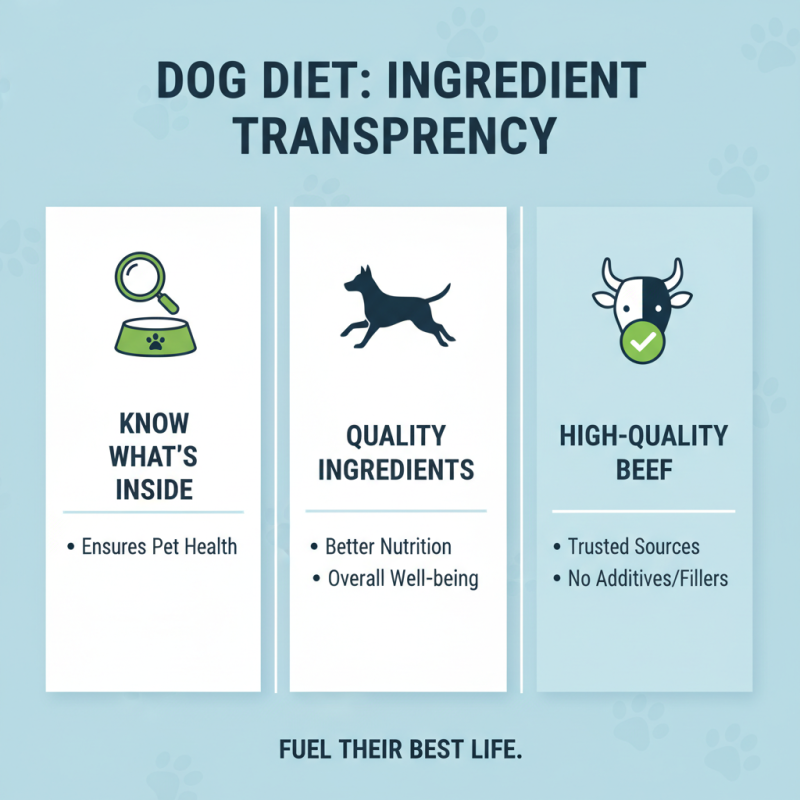 Why Choose Nutrish Beef Dog Food for Your Pet's Health and Happiness?