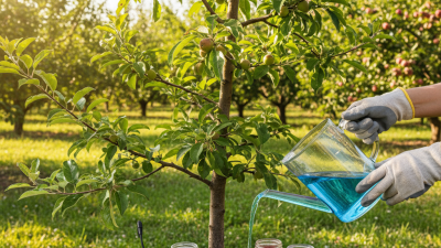 How to Choose Water Soluble Fruit Tree Fertilizer for Optimal Growth?