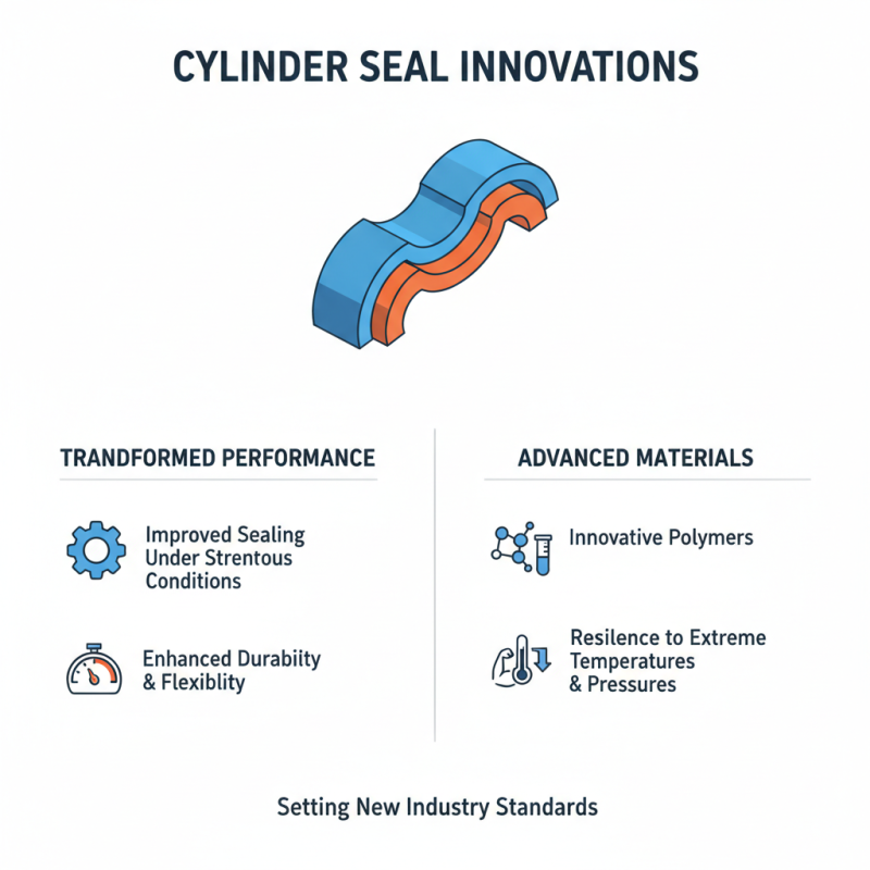 2026 Top Cylinder Seal Kits for Optimal Performance?