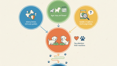 How to Choose the Best Puppy Food for Your New Pet?