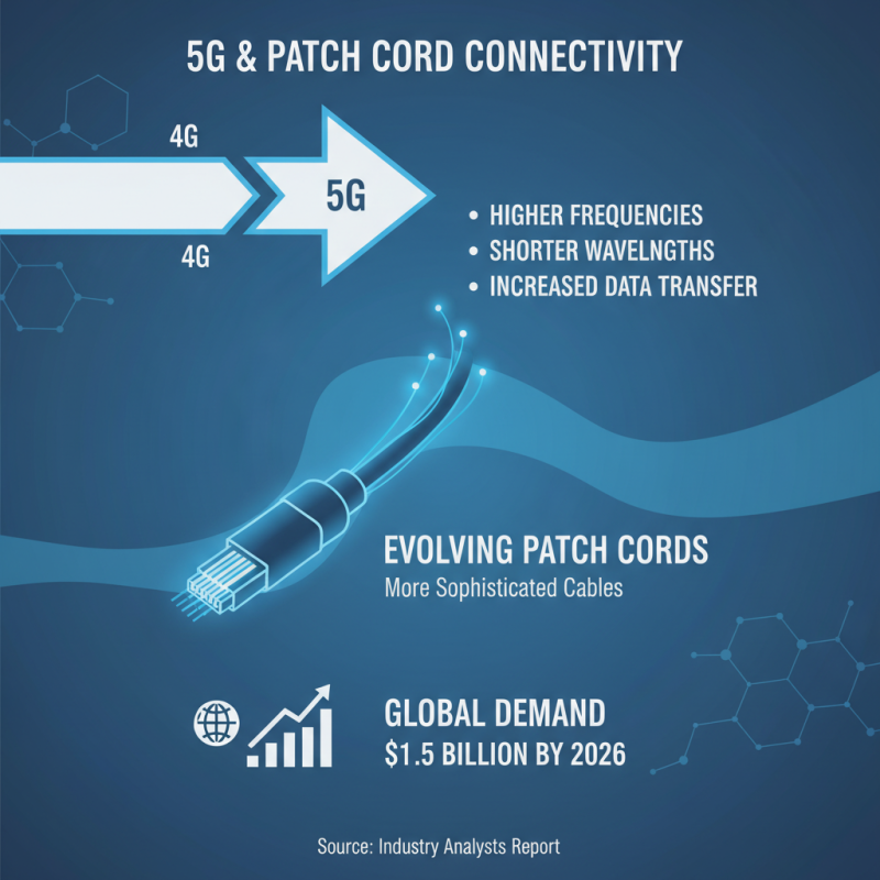 2026 Top Patch Cord Cable Trends and Innovations in Connectivity?