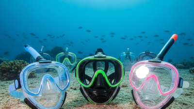 How to Choose the Best Full Face Scuba Mask for Beginners?