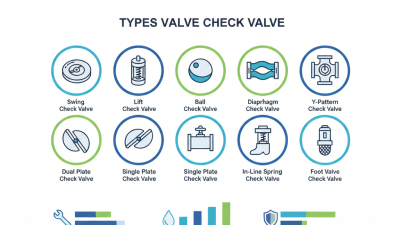 10 Best Check Valves for Optimal Performance and Reliability?
