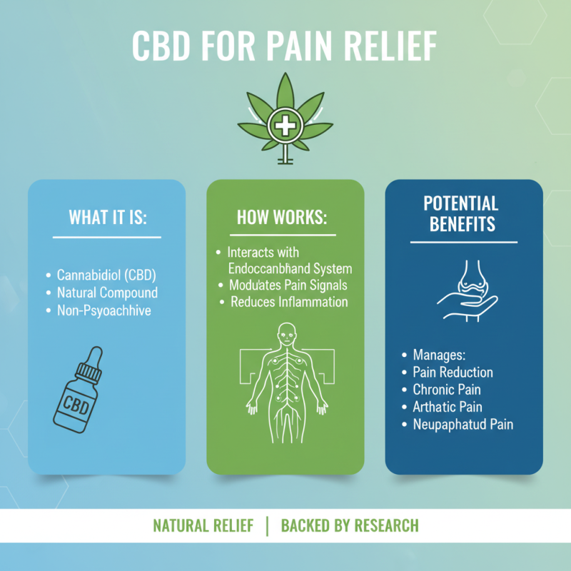 What is CBD Pain Relief and How Does It Work?