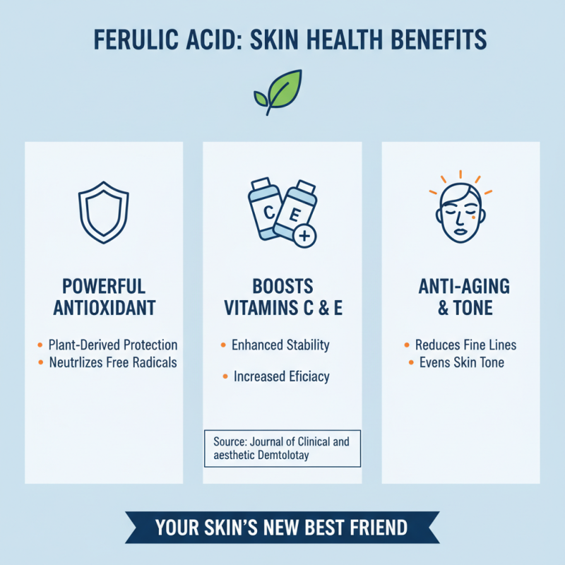 2026 Best Ferulic Acid Benefits for Skin Care?