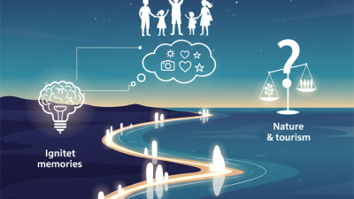 Why Are White Rock Lights So Popular Among Tourists?