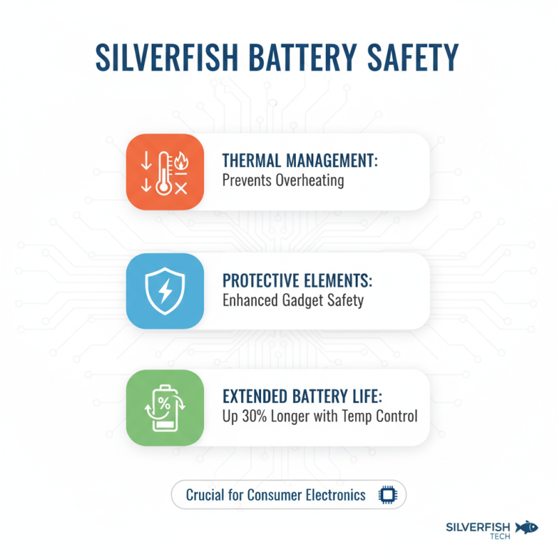 Top 10 Silver Fish Battery Features and Benefits Explained?