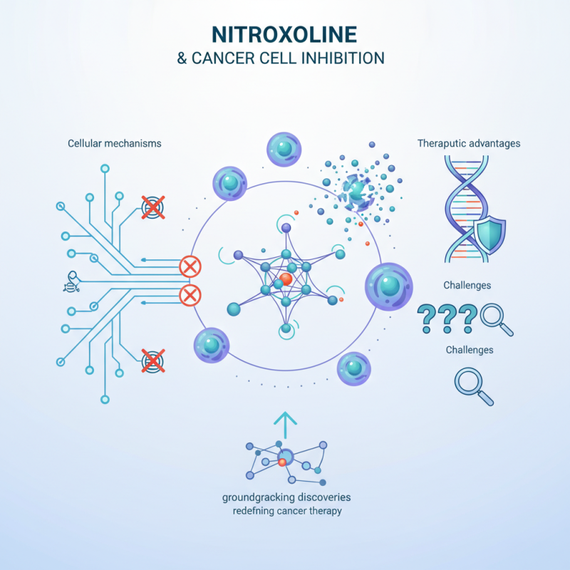 2026 Top Insights on Nitroxoline and Its Role in Cancer Cell Inhibition?