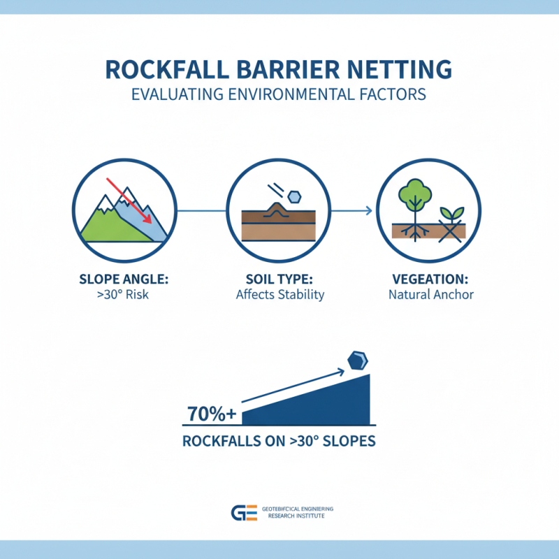How to Choose Rockfall Barrier Netting for Maximum Safety and Protection?