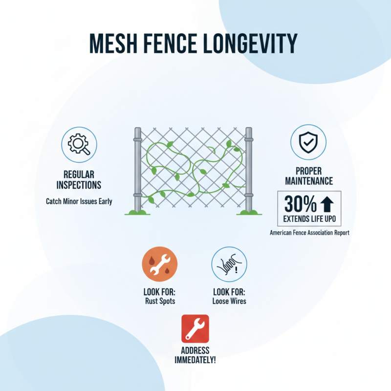Mesh Fence Tips for Choosing Installing and Maintaining Your Fence?