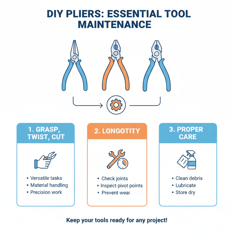 Why You Need a Pliers Set for Every DIY Project?