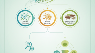 Top Swine Feed Additives for Optimal Pig Growth and Health?