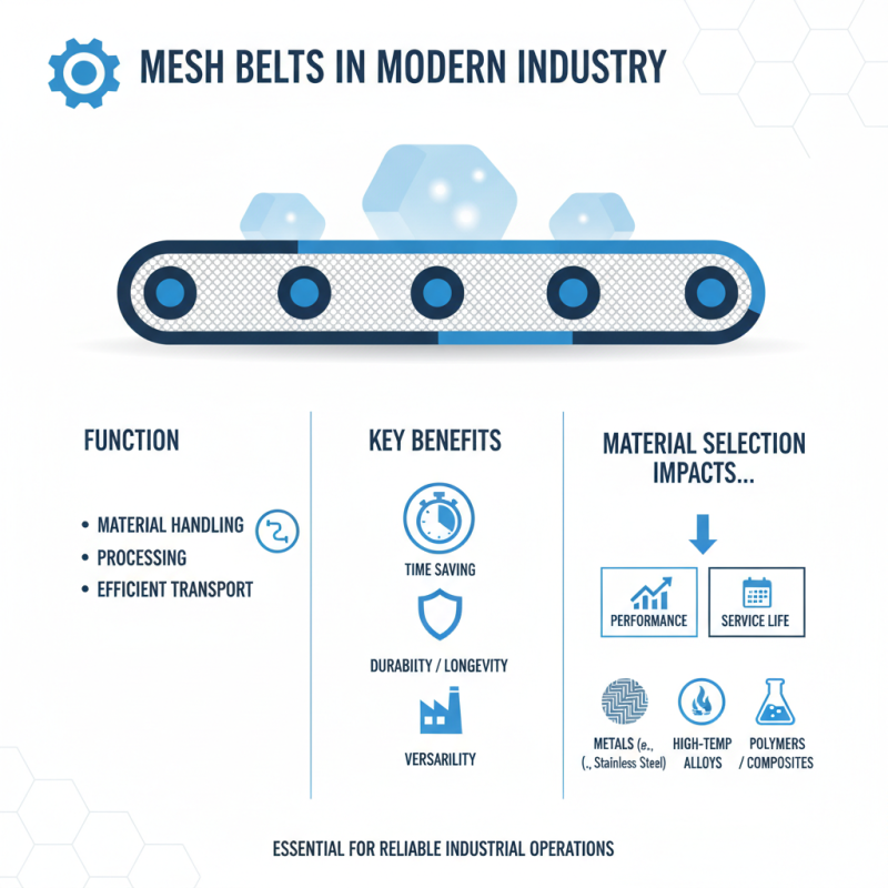 What is Mesh Belt and Its Applications in Modern Industries?