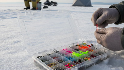 How to Choose the Best Ice Fishing Jig Box for Your Needs?