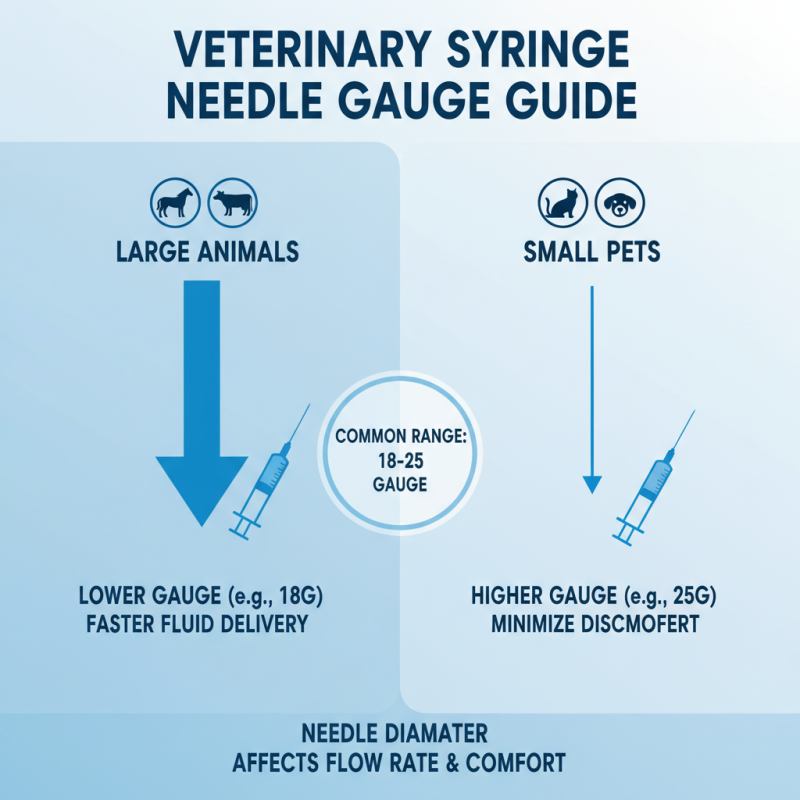 How to Choose the Right Veterinary Syringe for Your Pet Care Needs?