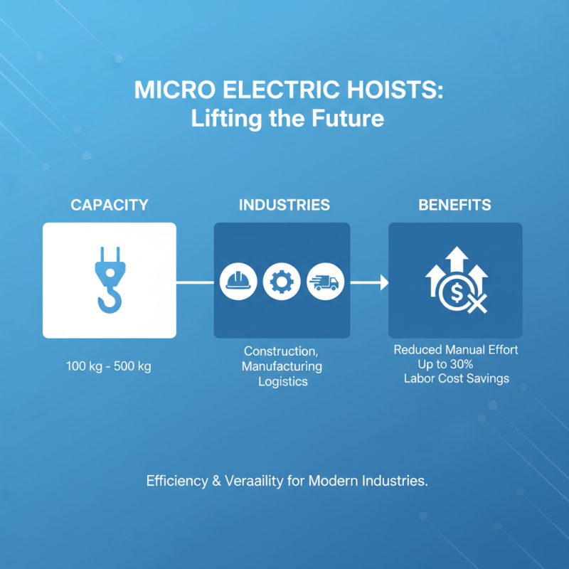 What is a Micro Electric Hoist and How Does it Work?