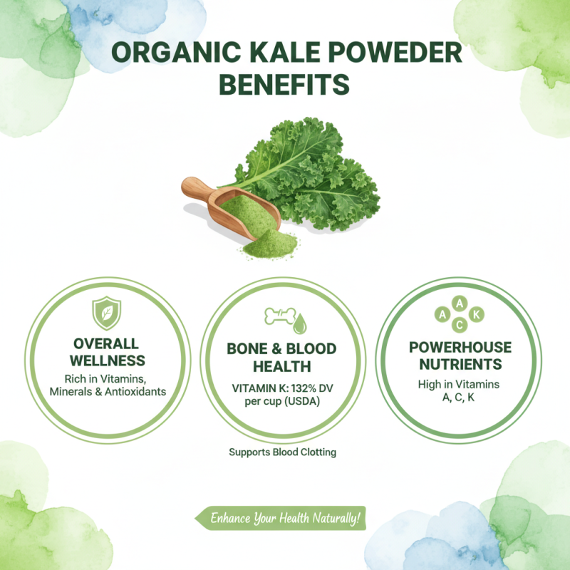 What is Organic Kale Powder and How Can It Benefit Your Health?