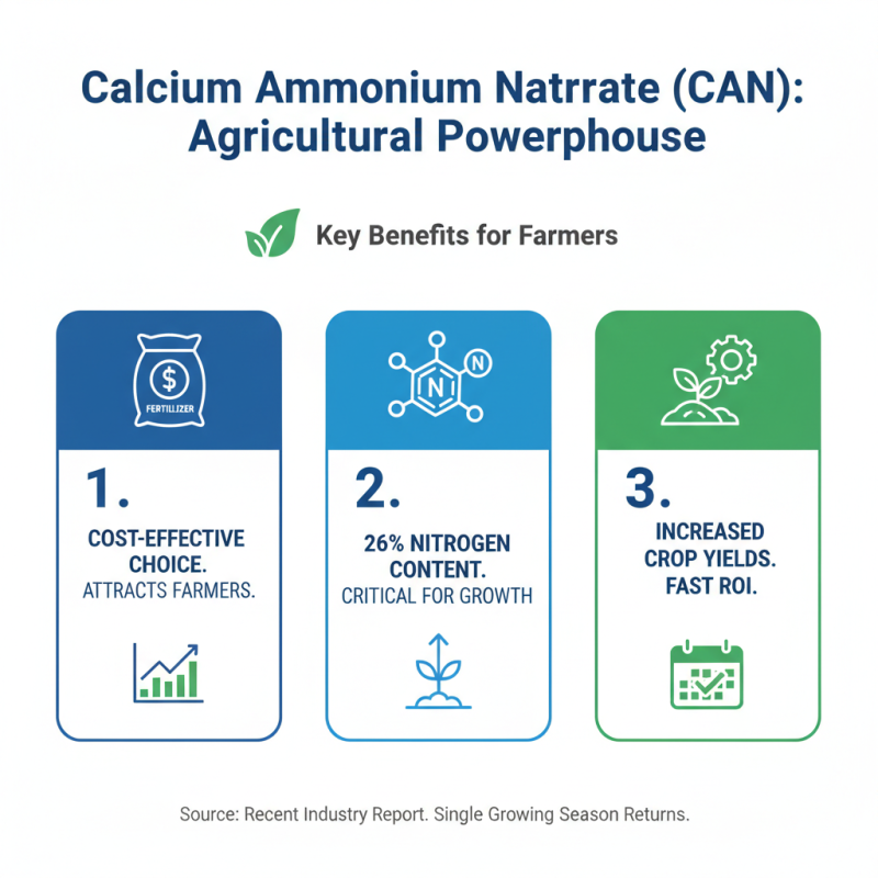 Top 10 Benefits of Calcium Ammonium Nitrate for Agriculture and Gardening?