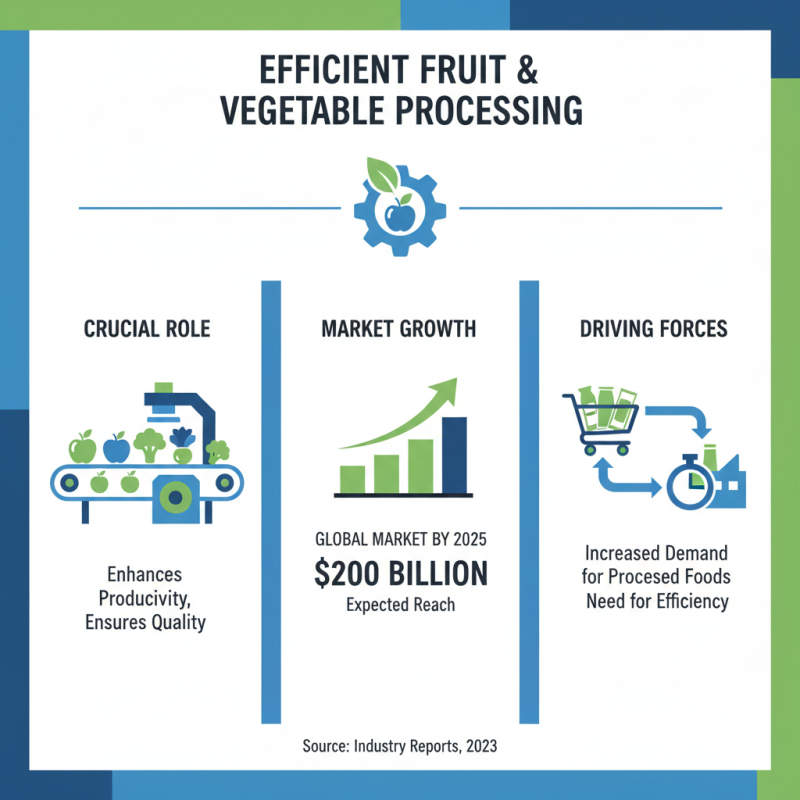 Top 10 Best Fruit and Vegetable Processing Equipment for Efficient Production?