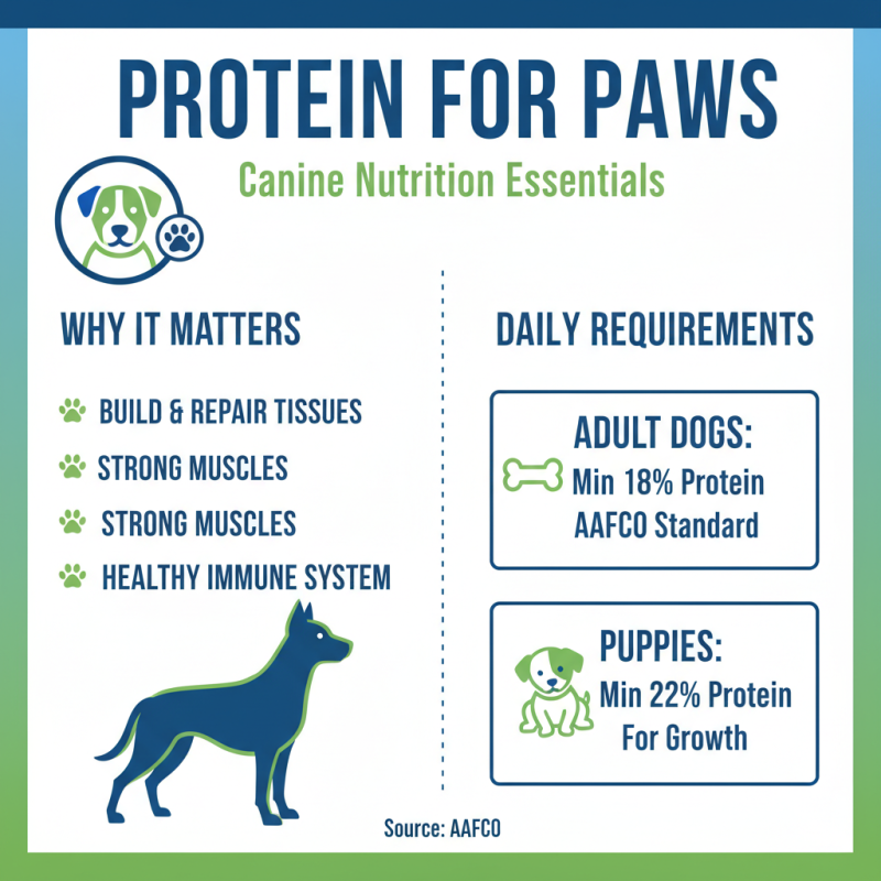 Why is Dog Food Protein Essential for Your Pet's Health?