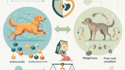 Why is Dog Food Protein Essential for Your Pet's Health?