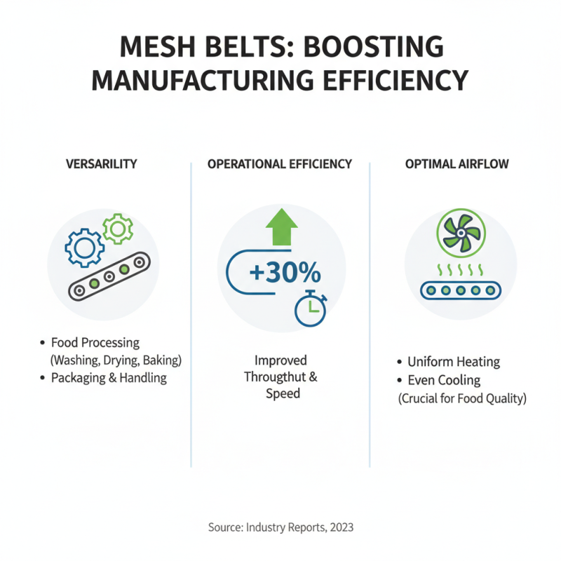 What is Mesh Belt and Its Applications in Modern Industries?