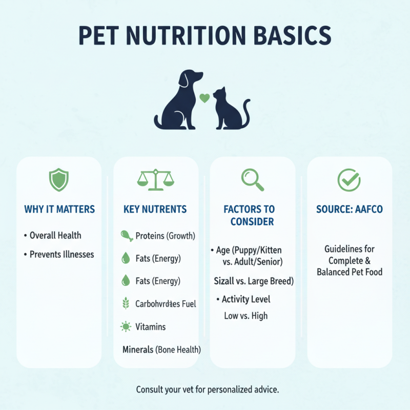 10 Tips for Choosing the Best Pet Food for Your Furry Friend?