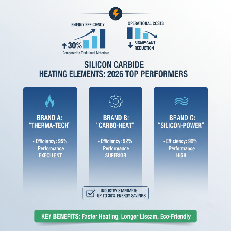 2026 Best Silicon Carbide Heating Elements for Efficient Heating?