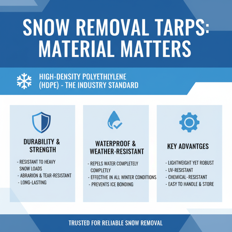 Essential Tips for Choosing the Best Snow Removal Tarps?