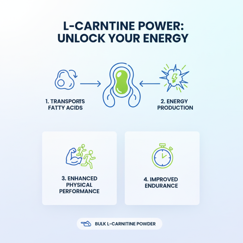 What is Bulk L Carnitine Powder Manufacturers and Their Benefits?