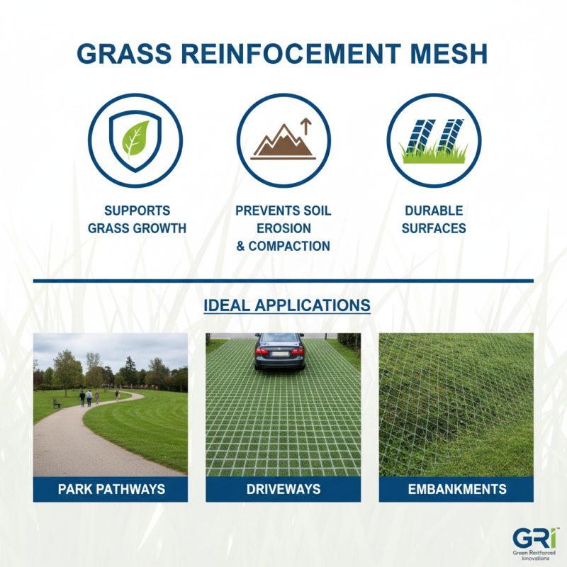 What is Grass Reinforcement Mesh and How Does It Work?