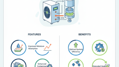 2026 Top Heat Pump Filter Drier Features and Benefits Explained?