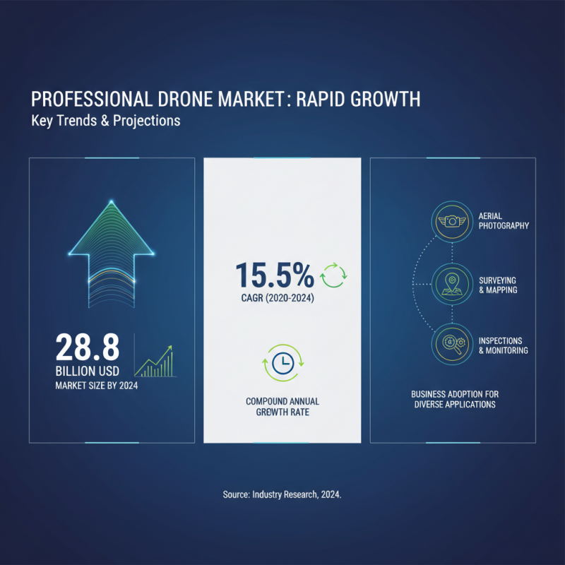 What is a Professional Drone and How is it Used?