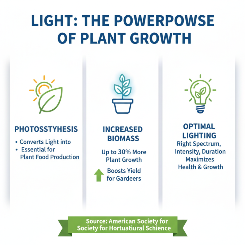 How to Choose the Best Greenhouse Lights for Your Plants