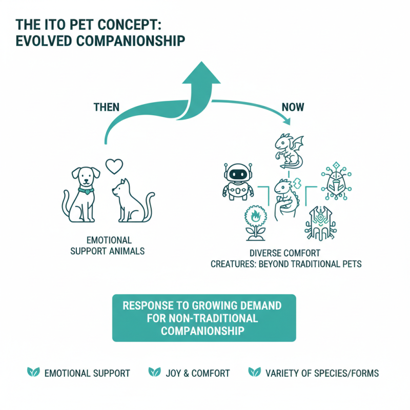 What is the Ito Pet and Why is it Popular Today?