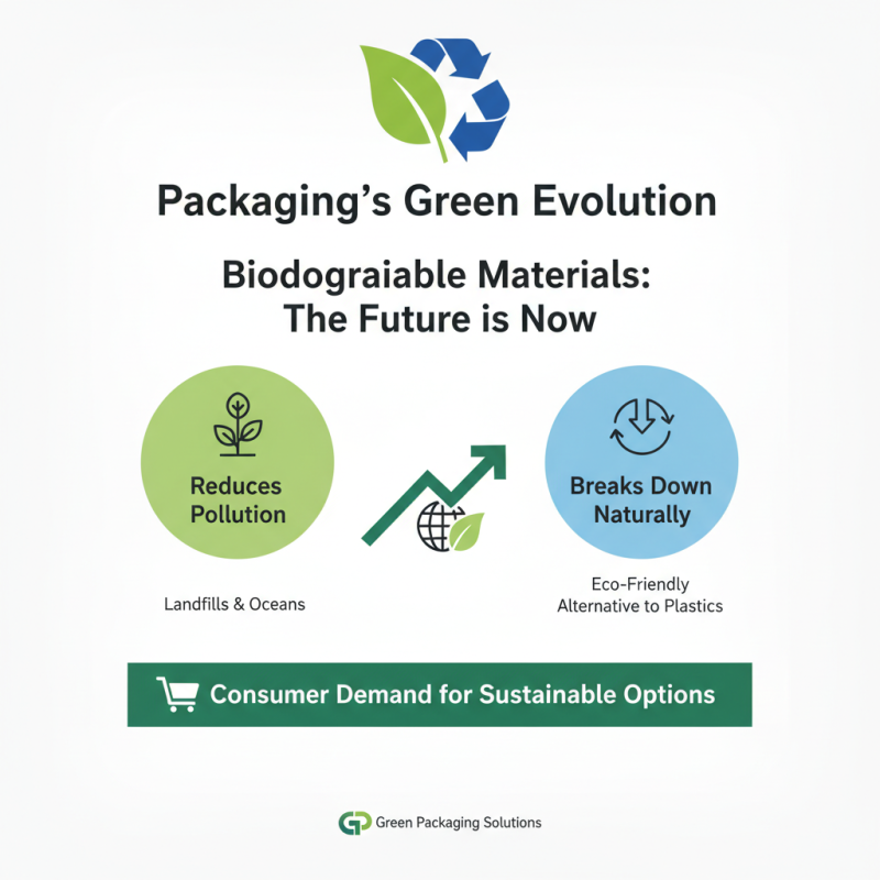 2026 Top Trends in All Packaging Solutions for Sustainable Business?