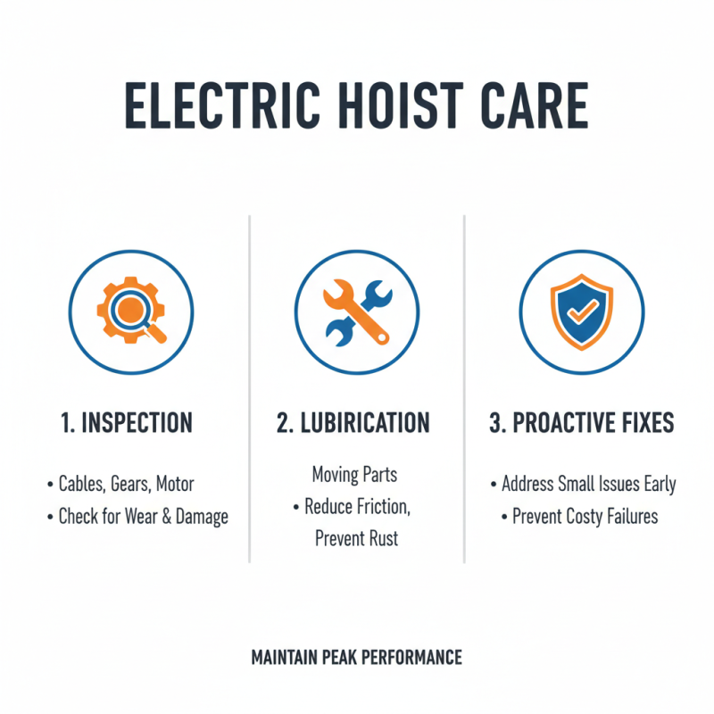 Top Electric Hoist Types to Consider for Your Lifting Needs?