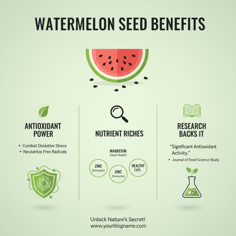 The Best Benefits of Watermelon Seeds You Need to Know?