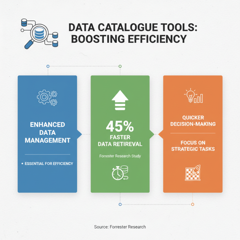 2026 How to Use Catalogue Tools for Efficient Data Management?