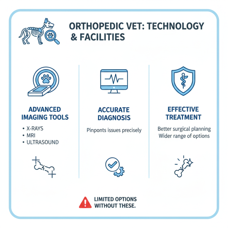 2026 How to Choose the Right Orthopedic Vet for Your Pet?