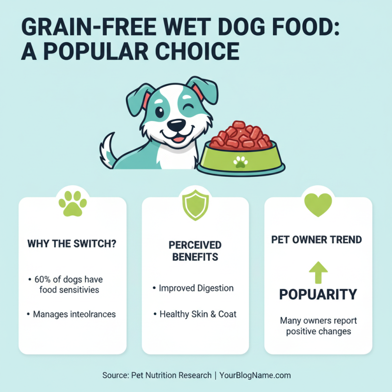 2026 Top Grain Free Wet Dog Food Options to Consider?